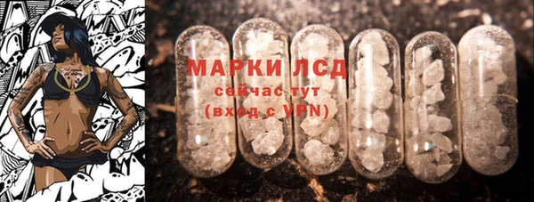 прущие грибы Осташков