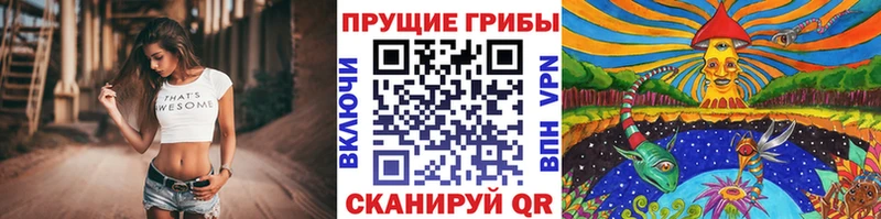ссылка на мегу зеркало Нижние Серги Псилоцибиновые грибы Magic Shrooms